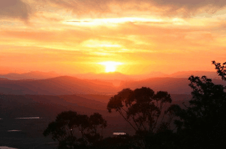Avocado Sunset - Accommodation Yamba