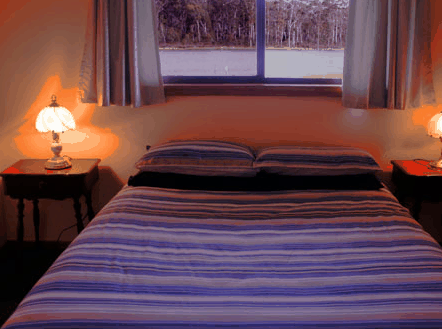 Lake Yalleena Cabins - Accommodation Yamba