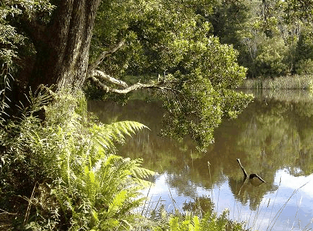 Weldborough Hotel - Accommodation Yamba