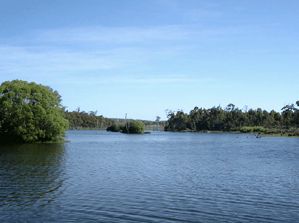 Currawong Lakes - Accommodation Yamba