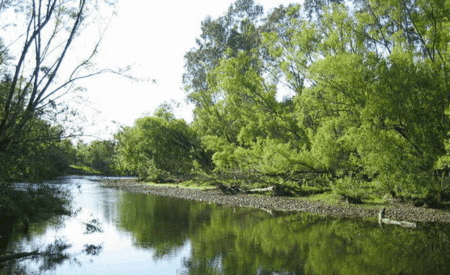 Ribbonwood Cottages - Accommodation Yamba