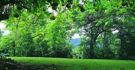Misty Mountain Retreat - Accommodation Yamba 0