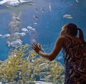 The Aquarium of Western Australia - Accommodation Yamba