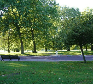 William Taylor Park - Accommodation Yamba