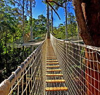 Thunderbird Park - Accommodation Yamba