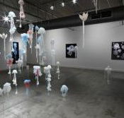 Nellie Castan Gallery - Accommodation Yamba