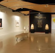 Counihan Gallery In Brunswick - Accommodation Yamba