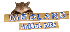 Birdland Animal Park - Accommodation Yamba