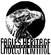 Eagles Heritage - Accommodation Yamba 0