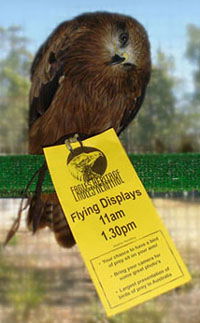 Eagles Heritage - Accommodation Yamba 1
