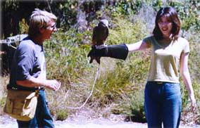 Eagles Heritage - Accommodation Yamba 2