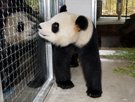 Adelaide Zoo - Accommodation Yamba 3