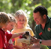 Cleland Wildlife Park - Accommodation Yamba