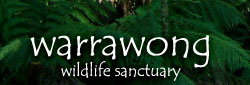 Warrawong Wildlife Park - Accommodation Yamba 0
