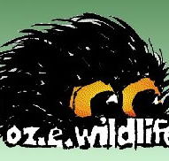 OZe Wildlife - Accommodation Yamba
