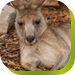  Accommodation Yamba