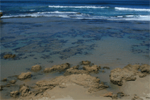 Braddon ACT Accommodation Yamba