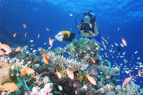  Accommodation Yamba