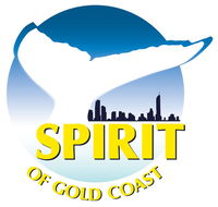 Spirit of Gold Coast Whale Watching - Accommodation Yamba