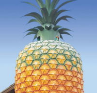 The Big Pineapple - Accommodation Yamba