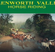 Glenworth Valley Horseriding - Accommodation Yamba
