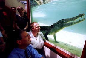 Alice Springs Reptile Centre - Accommodation Yamba 1