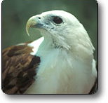 Kakadu National Park - Accommodation Yamba