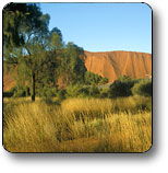 Haasts Bluff NT Accommodation Yamba
