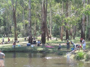 Buxton Trout And Salmon Farm - Accommodation Yamba 3