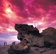 Kangaroo Island Adventure Tour 2 day/1 night - Accommodation Yamba