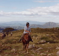 High Country Horses - Accommodation Yamba