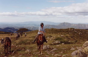 High Country Horses - Accommodation Yamba 0