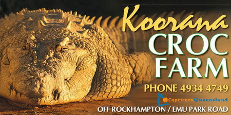 Koorana Saltwater Crocodile Farm - Accommodation Yamba 0