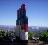 Mount Tamborine Winery  Homestead - Accommodation Yamba