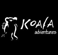 Koala Adventures - Accommodation Yamba