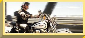 Easy Rider - Accommodation Yamba 2