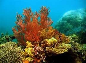  Accommodation Yamba