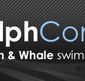 Dolphcom - Dolphin  Whale Swimming Adventures - Accommodation Yamba