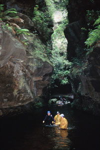 High And Wild Mountain Adventures - Accommodation Yamba 1