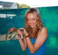 Crocosaurus Cove - Accommodation Yamba