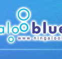 Ningaloo Blue Dive - Accommodation Yamba