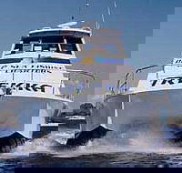 Sunshine Coast Fishing Charters - Accommodation Yamba