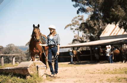 Watsons Trail Rides - Accommodation Yamba