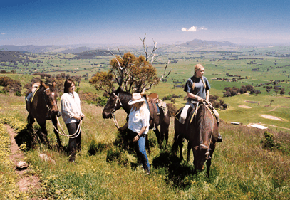 Watsons Trail Rides - Accommodation Yamba 2
