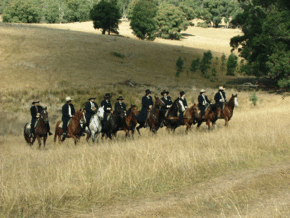 McCormacks Mountain Valley Trail Rides - Accommodation Yamba