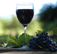 Lion Mill Vineyards - Accommodation Yamba