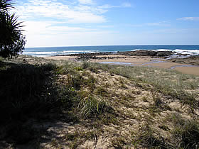 Deepwater National Park - Accommodation Yamba 0