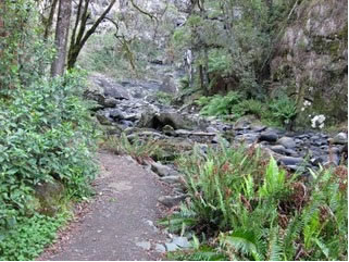 Stevensons Falls - Accommodation Yamba 1