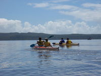 Kanu Kapers - Accommodation Yamba 2
