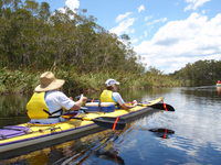Kanu Kapers - Accommodation Yamba 3